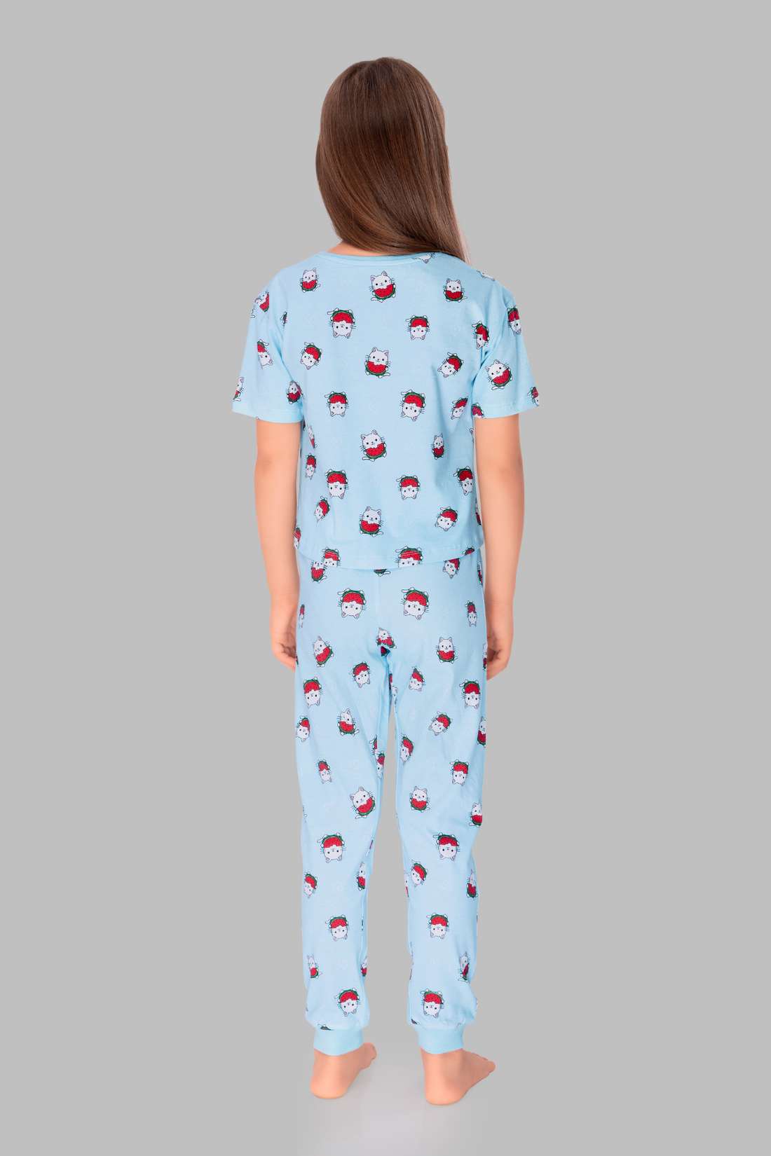 Teddy Theme Cozy Set 2